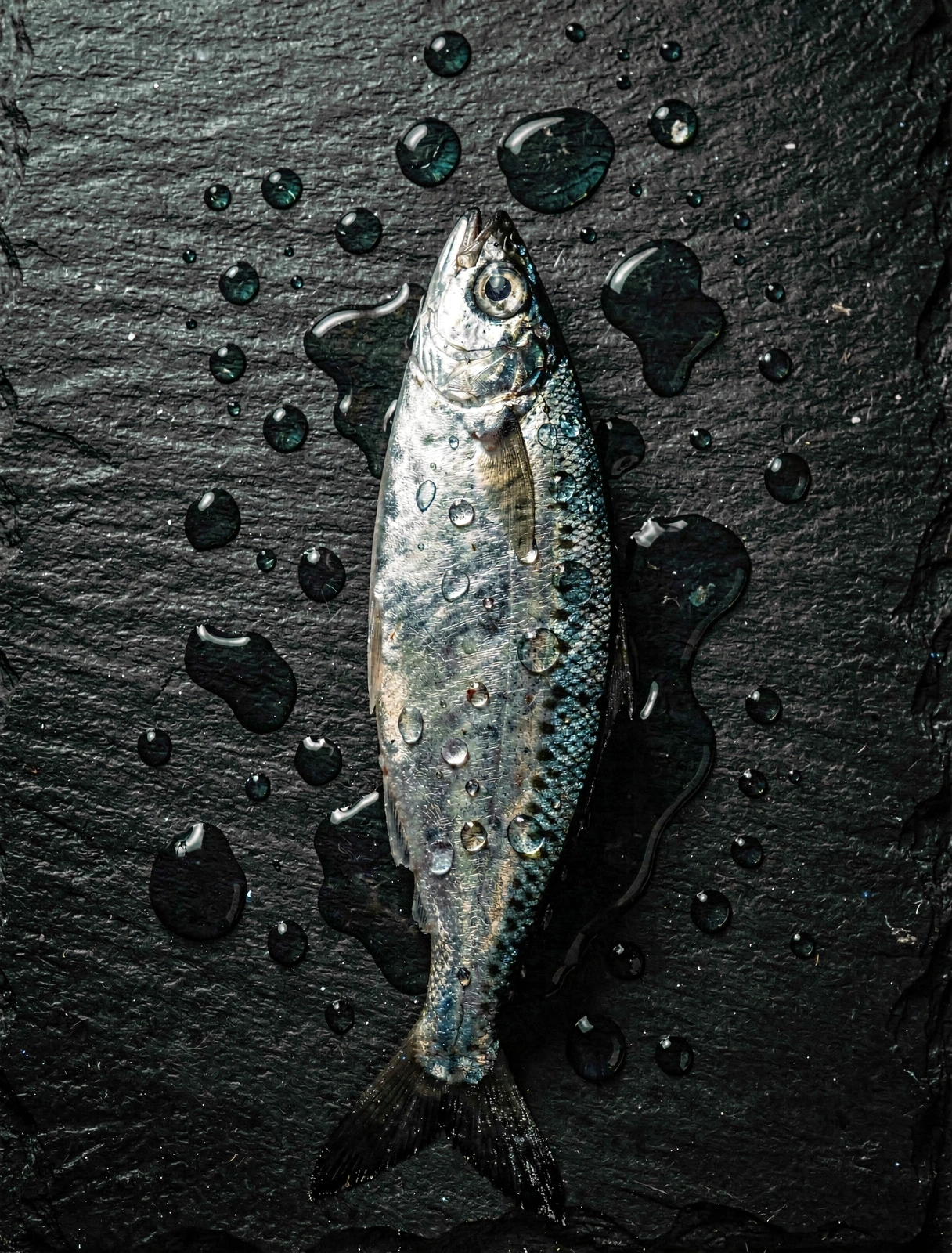 Foco nutricional no peixe atlântico